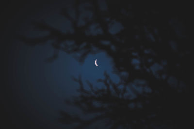 Silhouette of moon at night