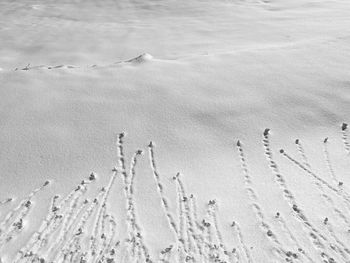 High angle view of footprints on beach