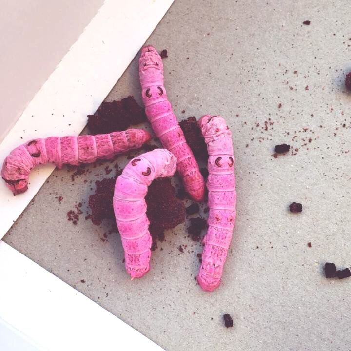 high angle view, still life, red, childhood, close-up, heart shape, indoors, directly above, love, no people, animal representation, creativity, sand, pink color, day, art and craft, art, food and drink, toy, paint