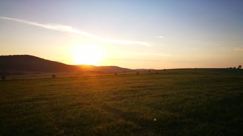 Scenic view of field against sky during sunset