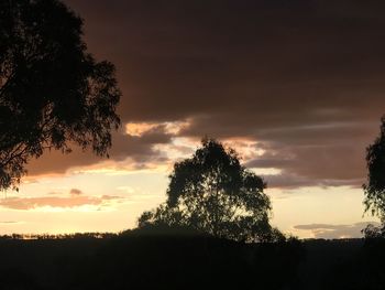 Silhouette trees against sky during sunset