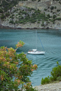 Sailboat sailing in sea