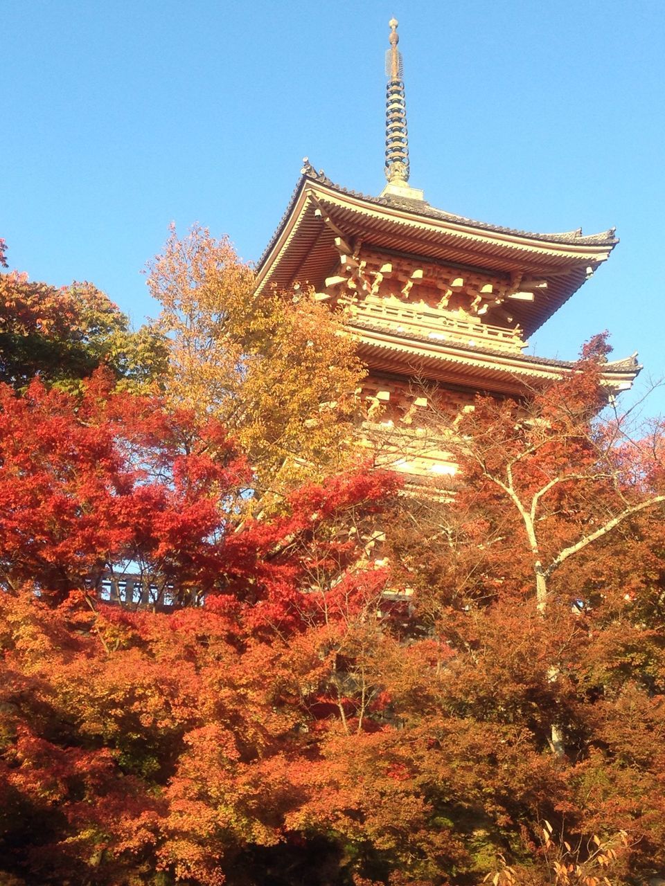 tree, clear sky, religion, spirituality, place of worship, low angle view, built structure, architecture, famous place, building exterior, temple - building, travel destinations, history, growth, tower, travel, day, tourism