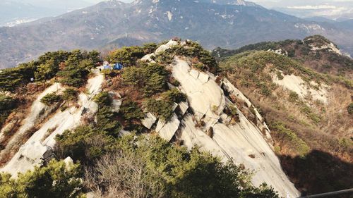 High angle view of trees on landscape