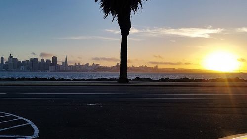 Silhouette tree by cityscape against sky during sunset