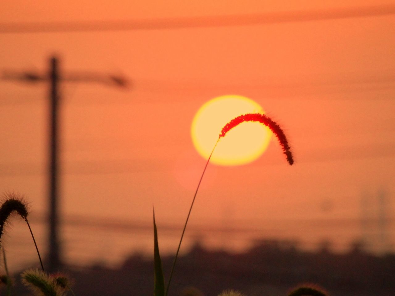 sunset, orange color, sky, circle, focus on foreground, sea, water, tranquility, nature, silhouette, sun, scenics, beauty in nature, beach, tranquil scene, close-up, outdoors, illuminated, dusk, no people