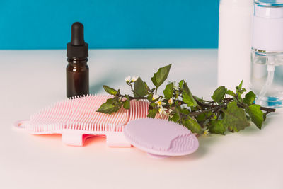 Close-up of cake on table