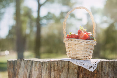 Close-up of strawberries in basket on tree stump