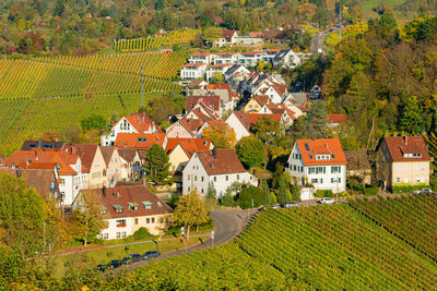 Houses and trees in village