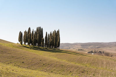 Scenic view of land against clear sky