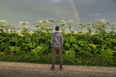 Rear view of man standing on field