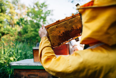 Close-up of man holding beehive against plants