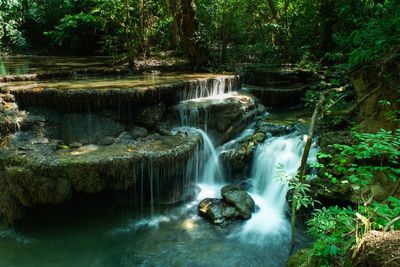 Scenic view of waterfall in forest