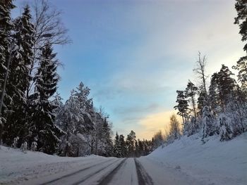 Snow covered road amidst trees against sky during winter