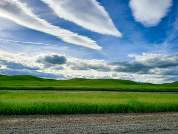 Scenic view of agricultural field against sky
