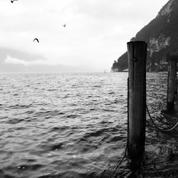 Seagull flying over sea against sky