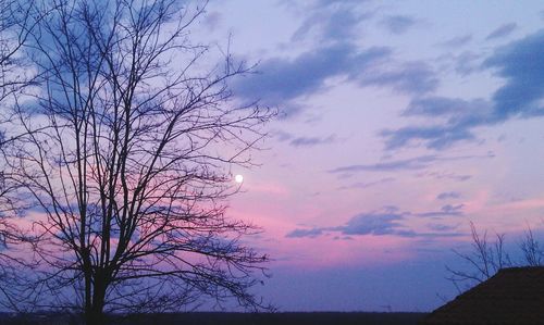 Low angle view of silhouette tree against sky at sunset