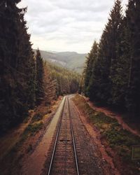 Railroad tracks amidst trees against sky