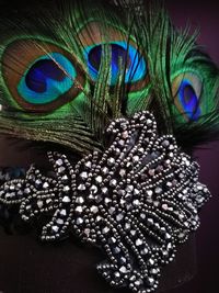 Close-up of peacock feather