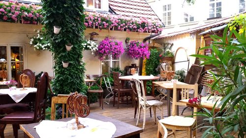 Empty chairs in restaurant