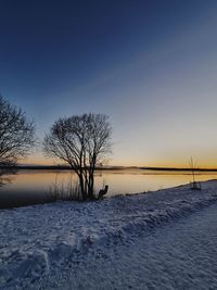 Bare trees on snow covered landscape during sunset