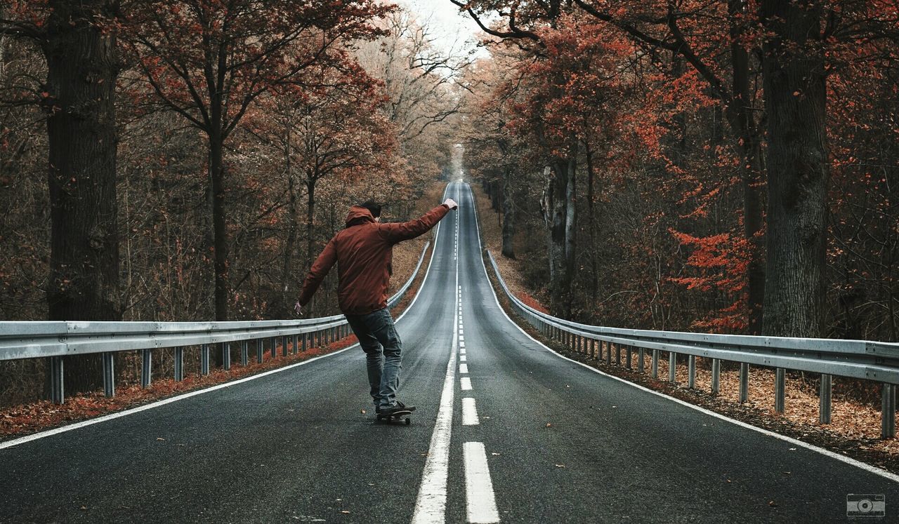 tree, bridge - man made structure, the way forward, outdoors, one person, branch, people, day, adult