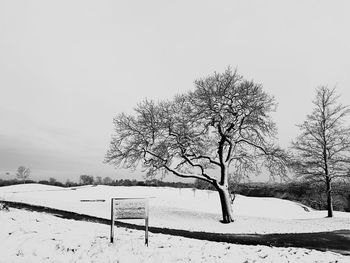 Bare tree on snow field against clear sky