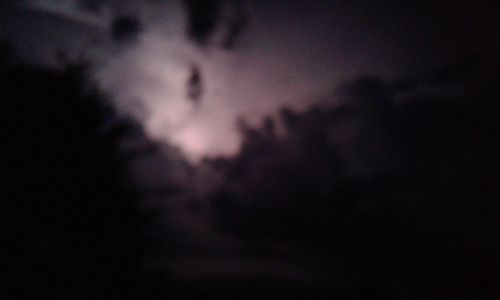 Low angle view of silhouette trees against sky at night