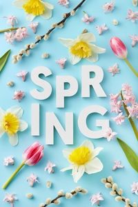 Close-up of yellow flowers