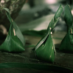 Close-up of green leaves on table