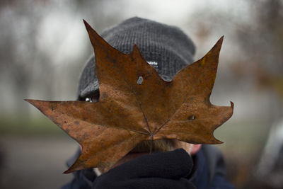 Close-up of autumn leaf against blurred background