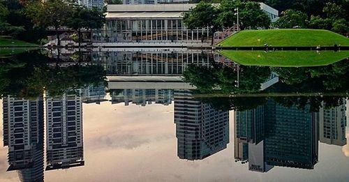 Reflection of trees and buildings in city