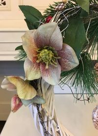 Close-up of flower growing on tree