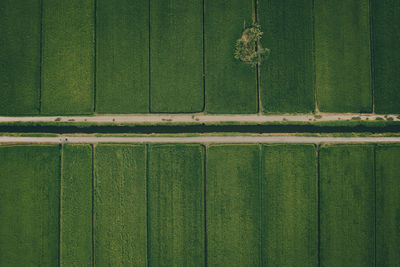 Full frame shot of green wall