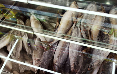 Close-up of fish for sale in market