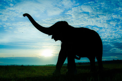 Elephants in lake