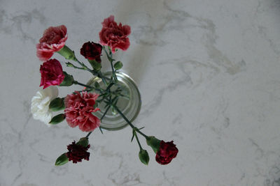 Close-up of red flowers