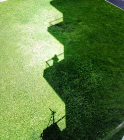 Shadow of man on grass