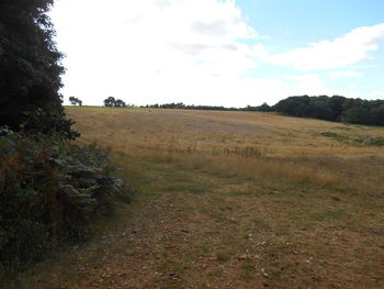 Scenic view of field against cloudy sky