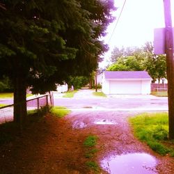 Footpath by pond