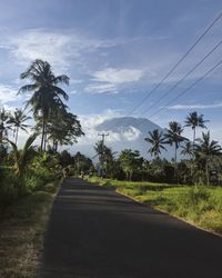 Road amidst trees on field against sky