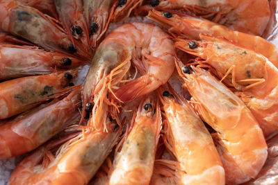 Full frame shot of seafood