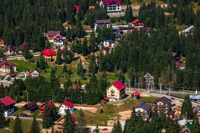 High angle view of trees and houses in town