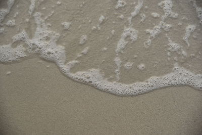 High angle view of footprints on beach