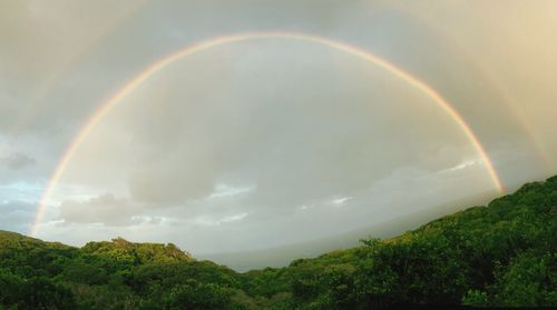 Scenic view of rainbow against sky