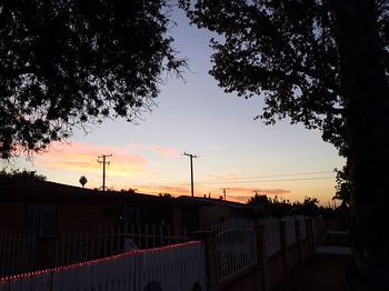 Silhouette of trees at sunset