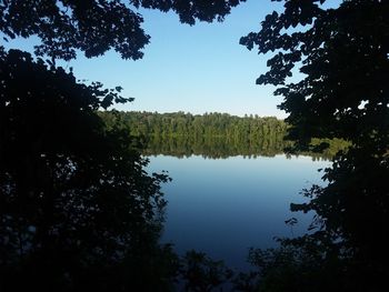 Scenic view of lake in forest against sky