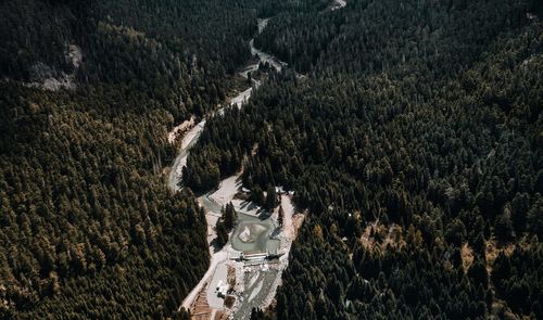 Aerial view of a mountain river amongst forest