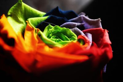 Close-up of multi colored candies against black background