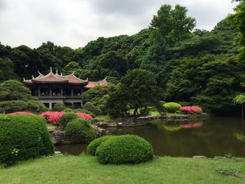 Pond in park